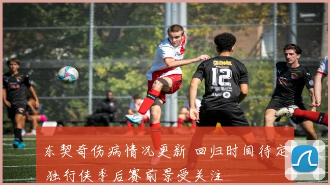 东契奇伤病情况更新 回归时间待定 独行侠季后赛前景受关注