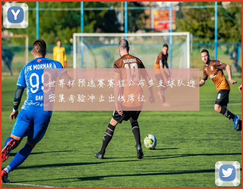 世界杯预选赛赛程公布多支球队迎密集考验冲击出线席位